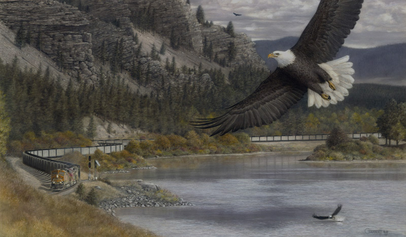 Slider-On Swift Wings website_